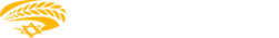 Israel Bible Center